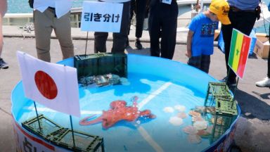 Изядоха октопод-оракул, познал безпогрешно резултатите на Япония