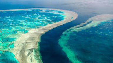 От 1995 г до сега Големият бариерен риф в Австралия