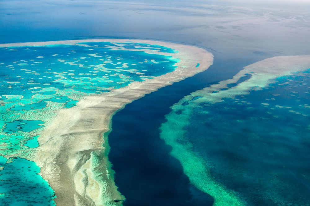 Коралите от бариерния риф са включени в списъка на Световното наследство на ЮНЕСКО