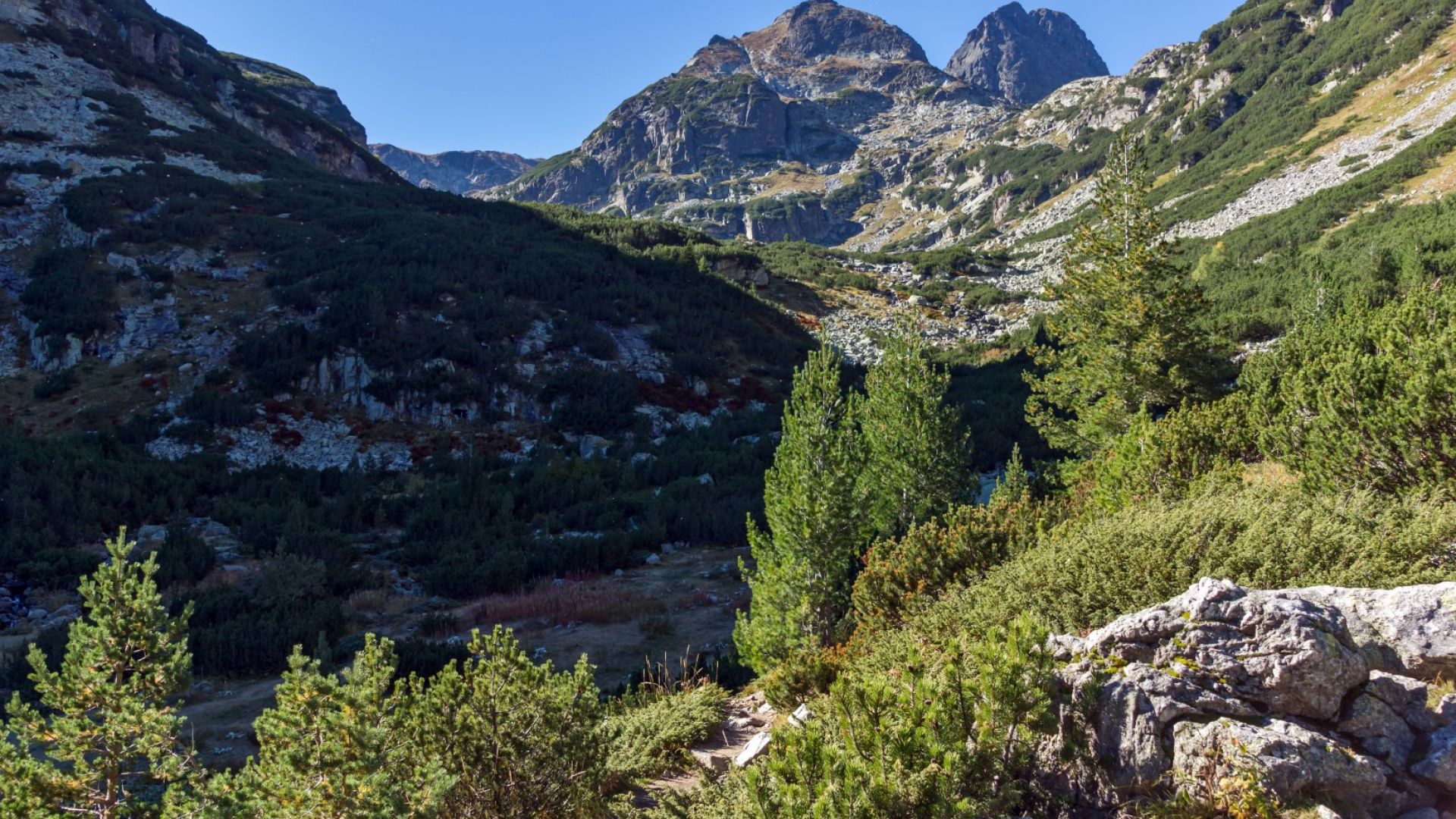 Национален парк Рила предвижда да се подобрят местообитанията на животинските