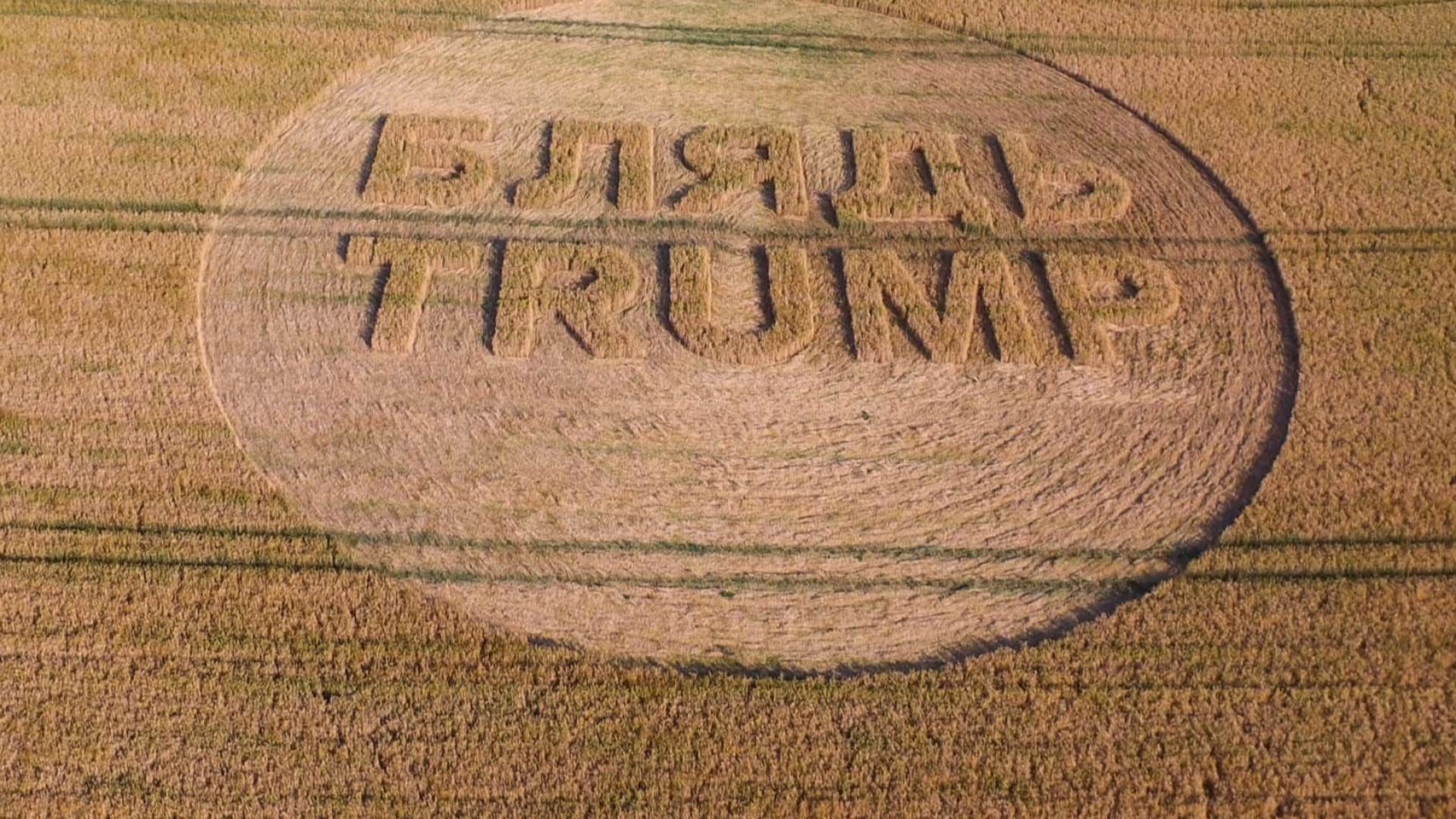 Британски фермер обижда Тръмп с надпис на нивата си (видео)
