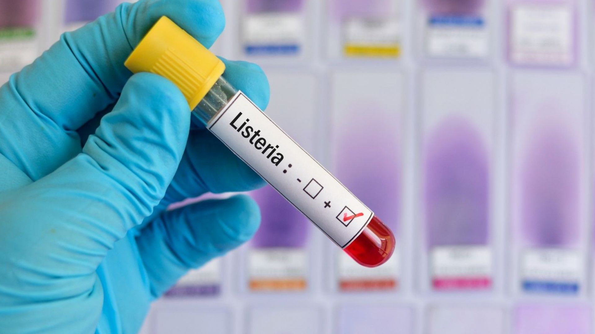 Бактерия листерия моноцитогенес е е открита в пушена сумрия на