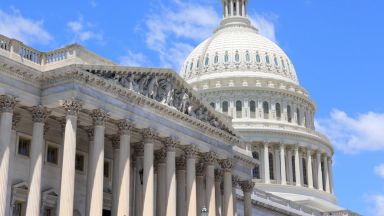 Българи в Съединените щати събират подписи в специална петиция до