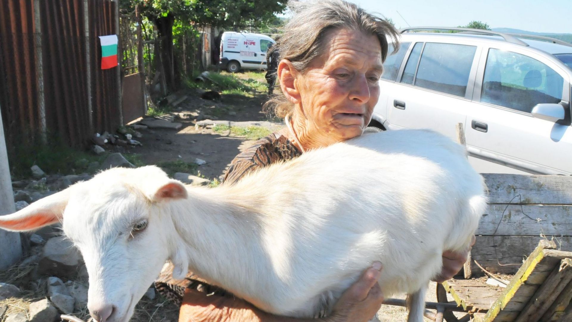Евтаназираха животните на баба Дора, след като полиция изведе доброволците