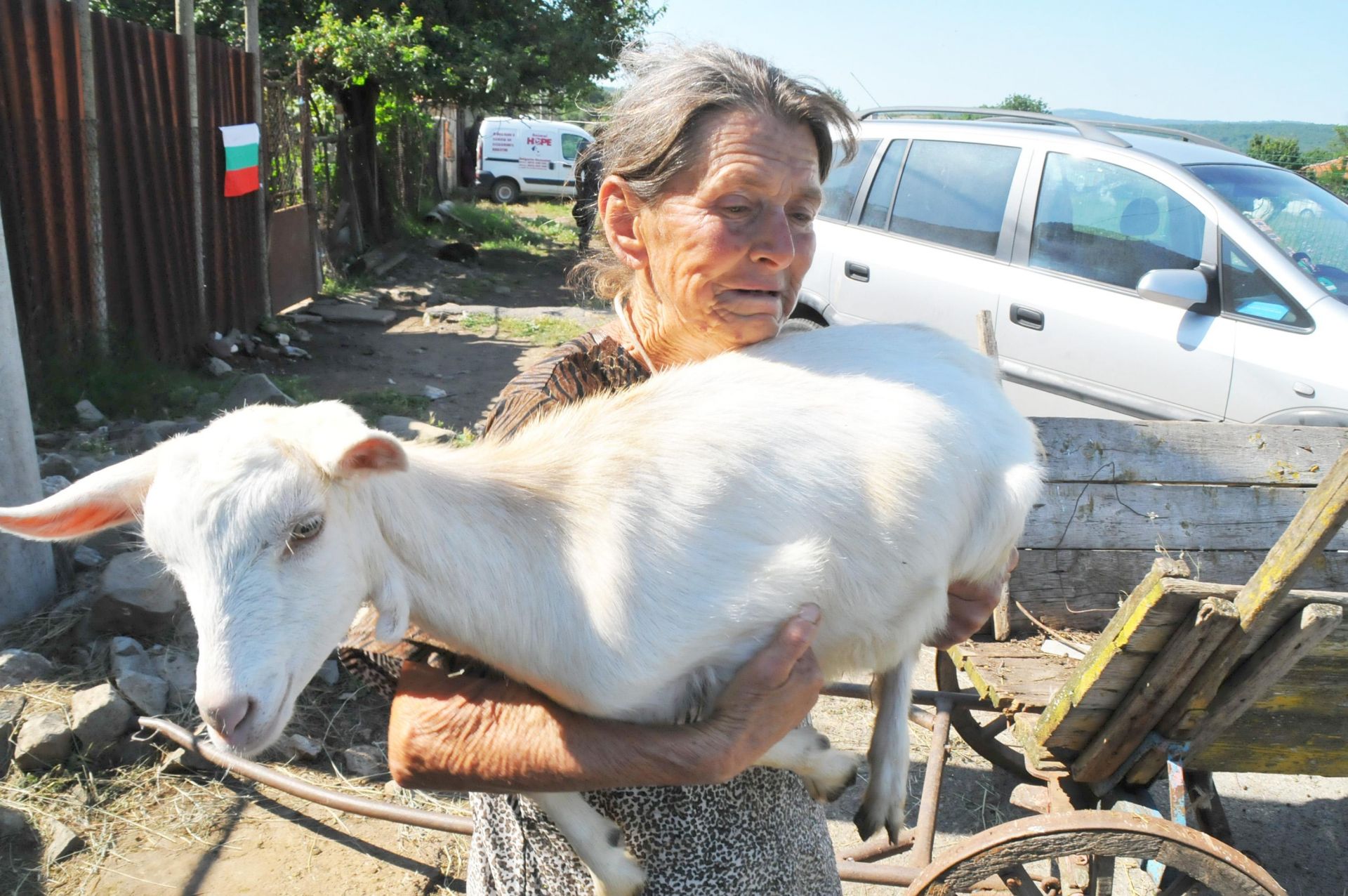 Вчера баба Дора каза, че ако искат да убият козите й, първо трябва да убият нея