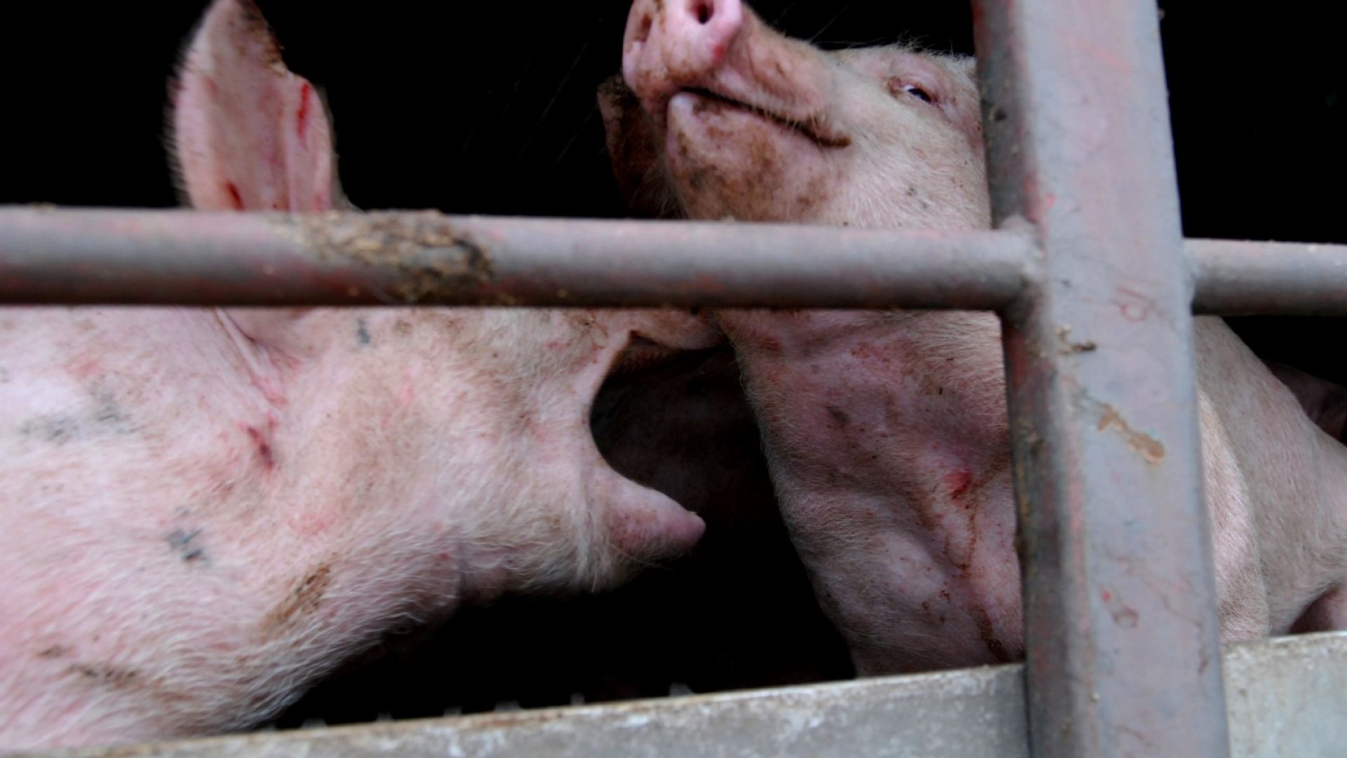 Не съм съгласен с това че не сме взели мерки