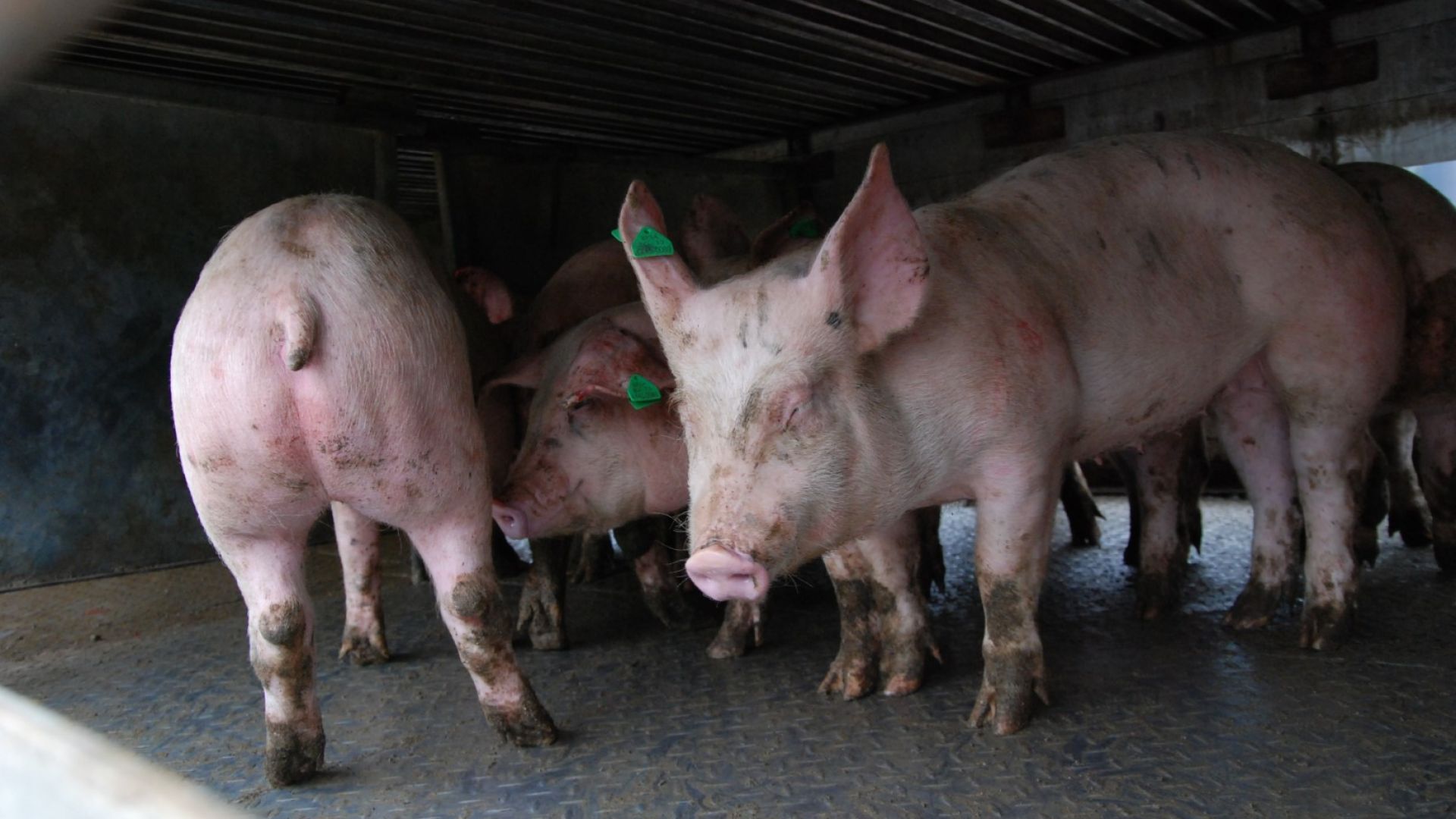 Ришкият проход е затворен заради инцидента с ТИР който се