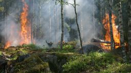 Горите в Европа не се справят с измененията на климата