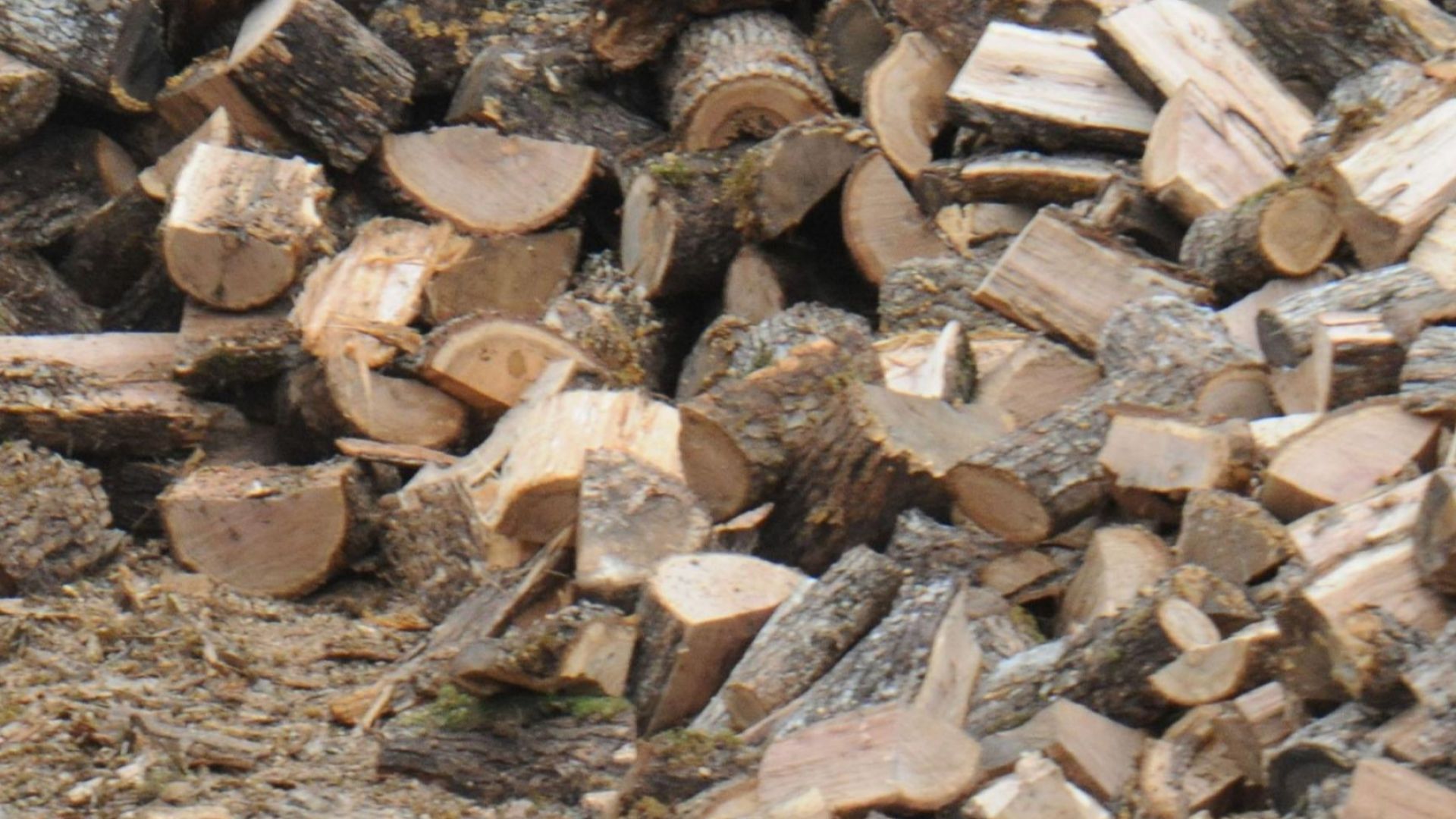 Със 7 млн. лв. подменят печките на дърва и въглища в Пловдив с котли и климатици