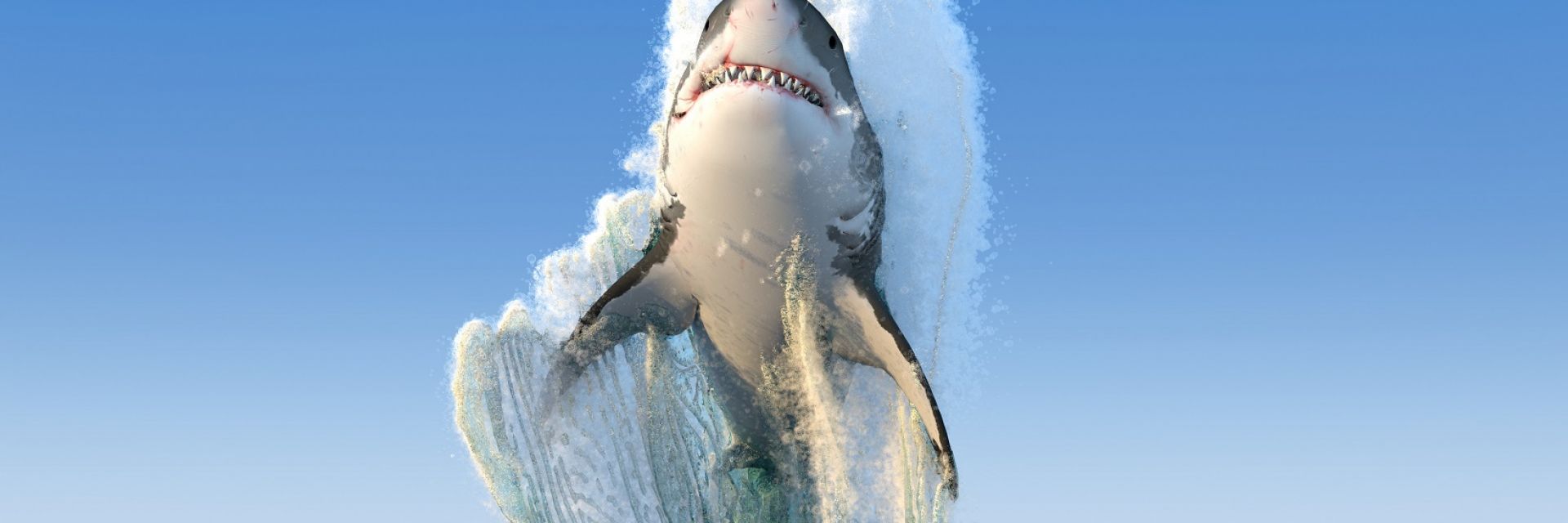 Вижте най-голямата бяла акула, заснемана някога (видео)