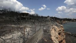 Пожар с фронт над 10 км бушува на гръцкия остров Евбея (видео)