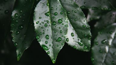 Пороен дъжд - две месечни норми за половин час (видео)