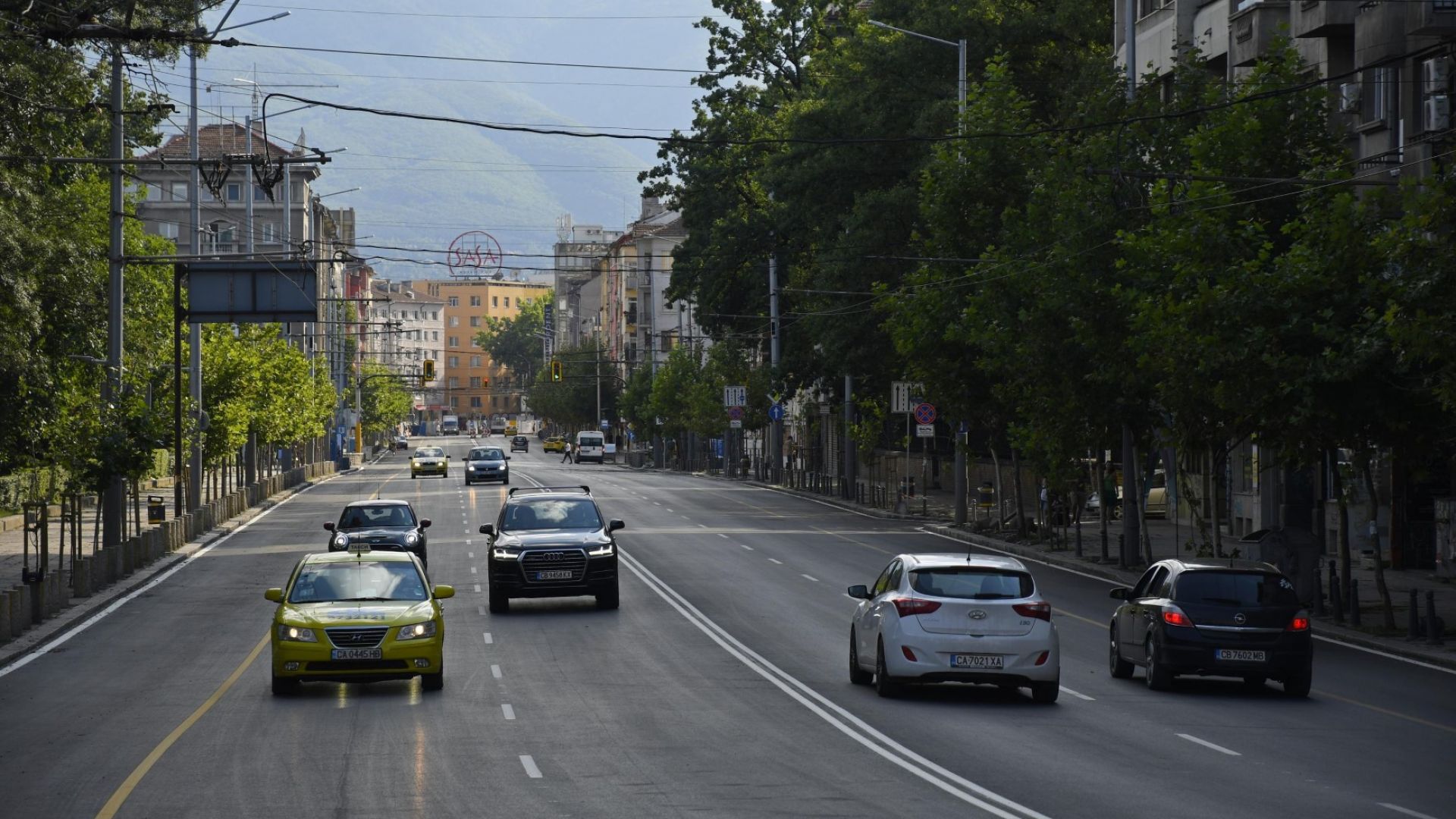 Започва обследване и подмяна на тополите по булевард "Васил Левски" в София