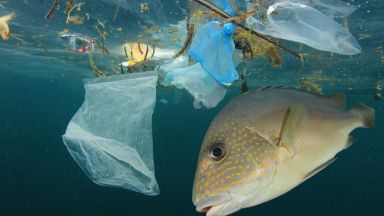 Пластмасовите отпадъци усилват глобалното затопляне