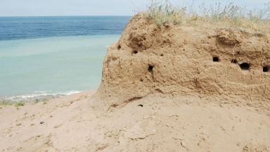 Морето край Дуранкулак изхвърли труповете на три деца