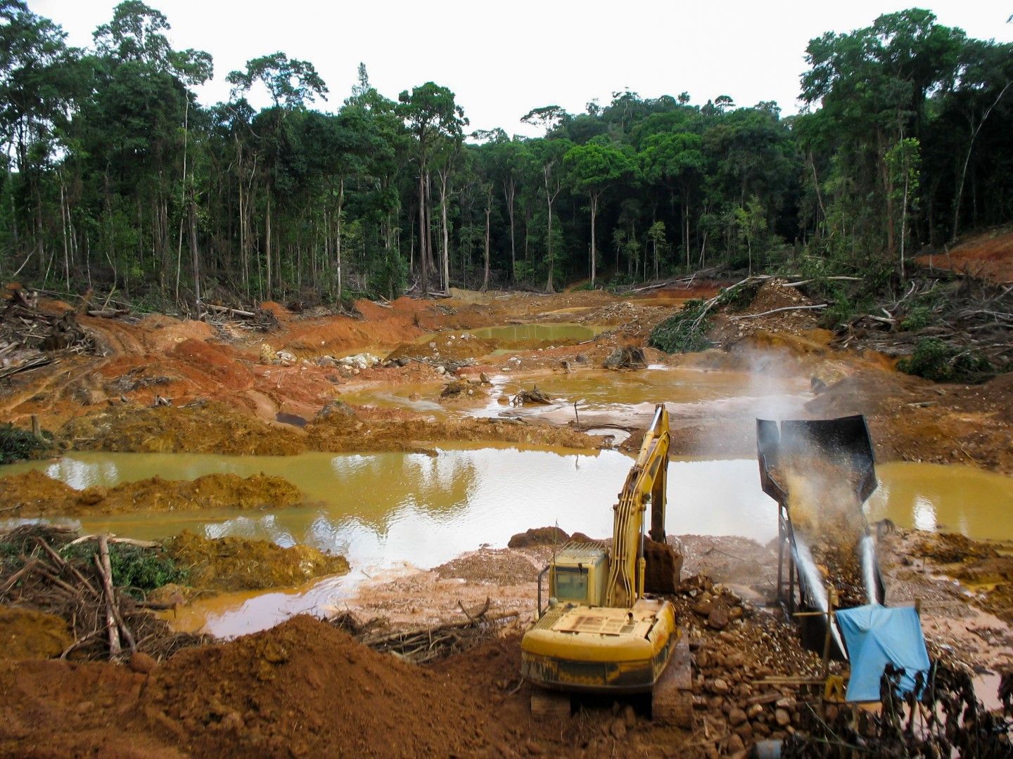 Продължава унищожаването и на колумбийските тропически гори