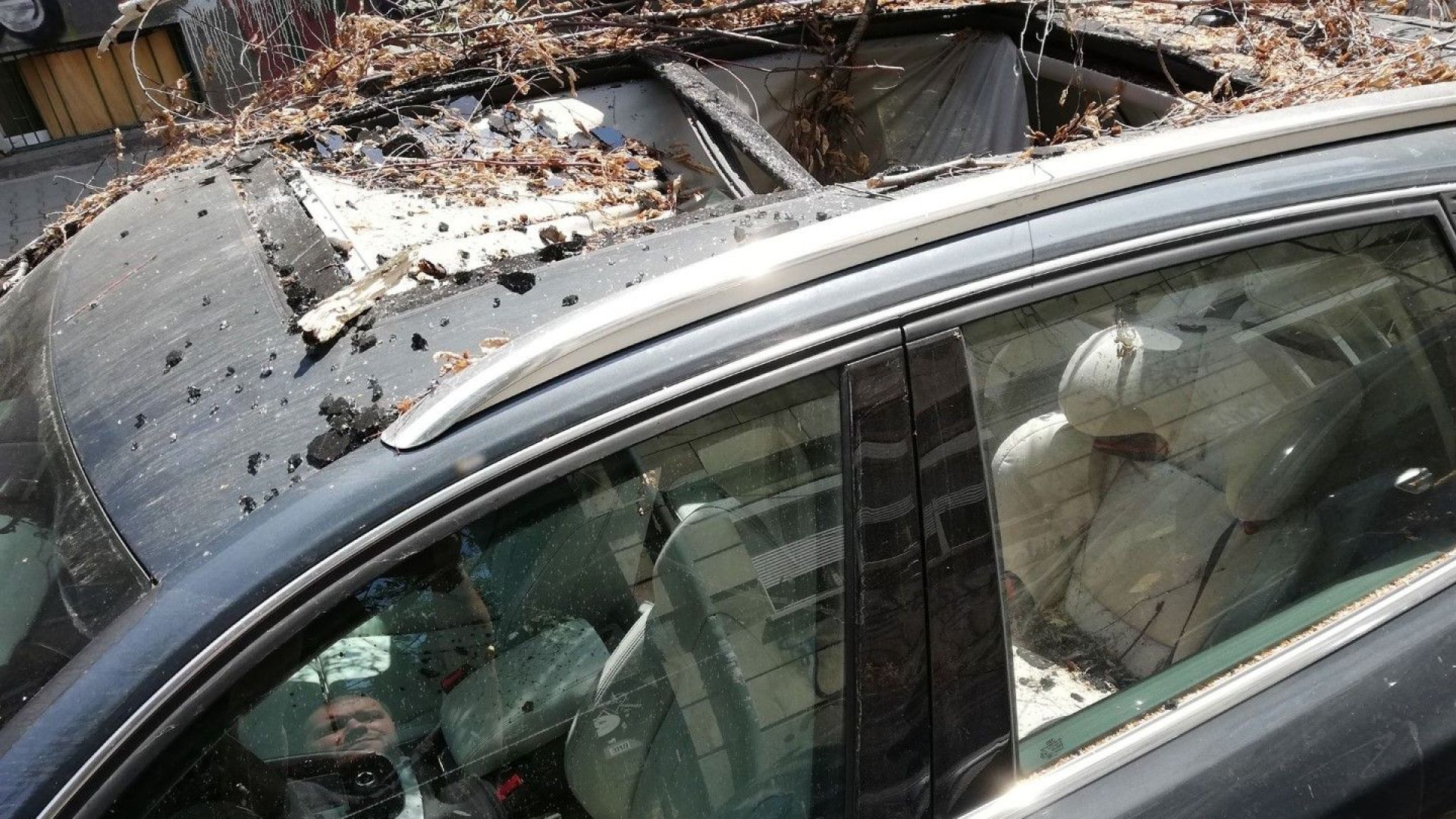Дърво падна върху две коли в центъра на София (снимки)