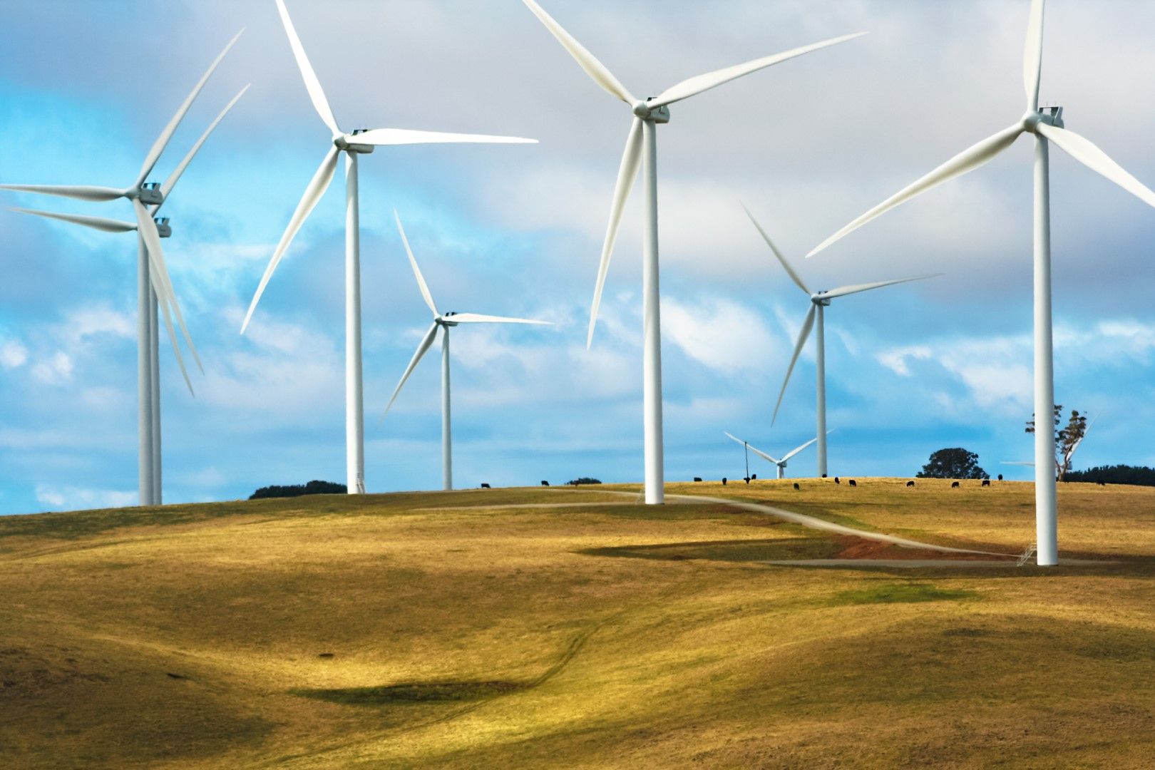 Австралия и  NSW са едни от световните лидери в използването на слънчева и вятърна енергия