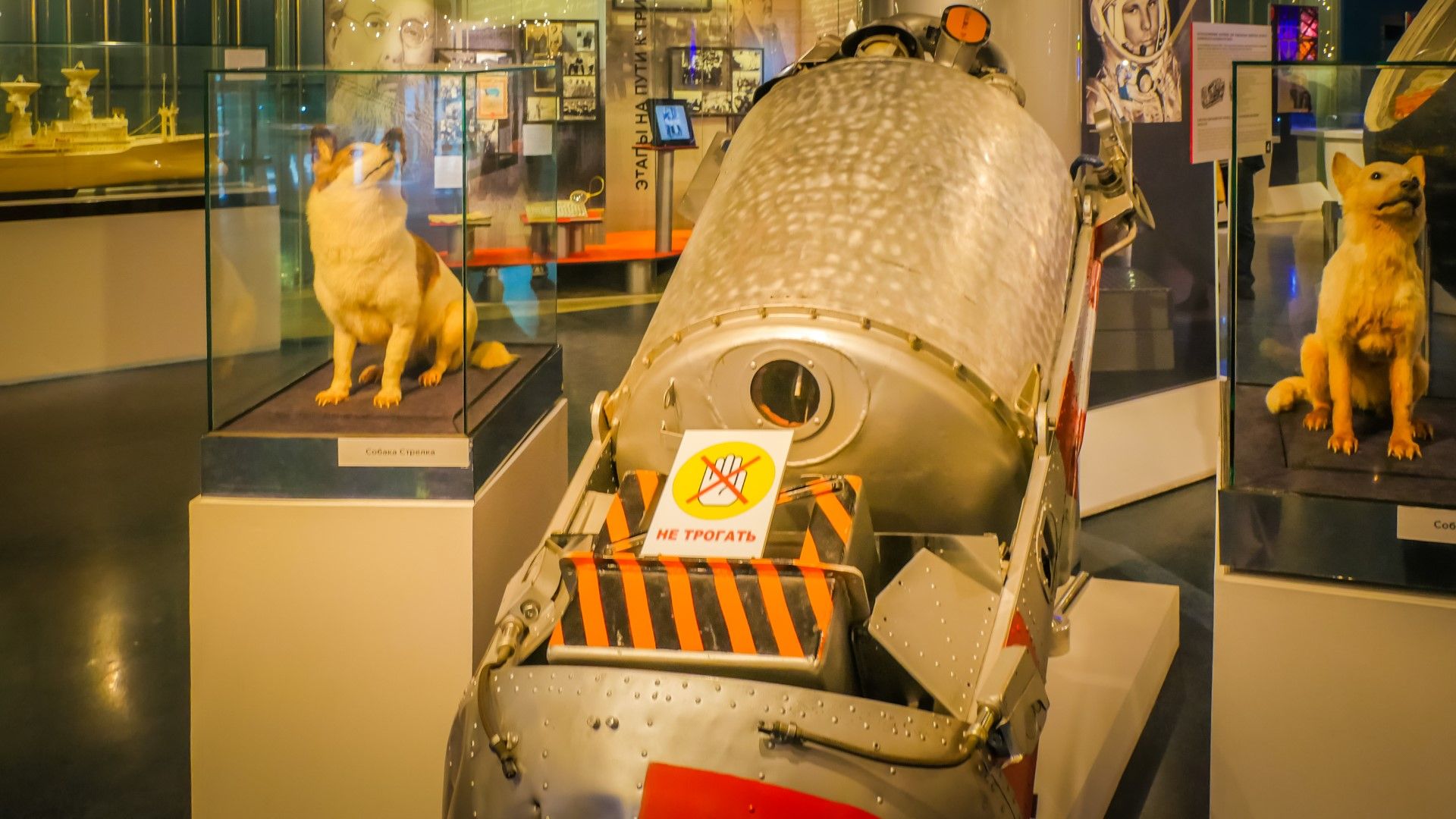 Днес двете прпепарирани героини на съветската космонавтика могат да бъдат видено в музей в Москва