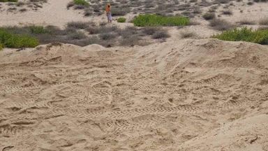 Държавното ловно стопанство в Несебър трябва да възстанови ландшафта до