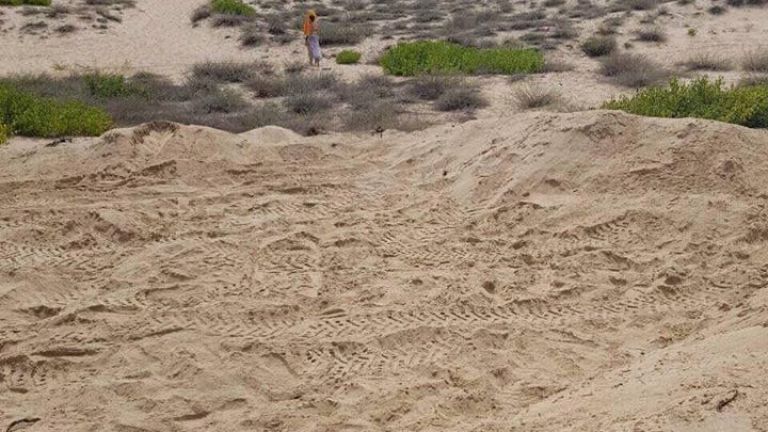 Държавното ловно стопанство в Несебър трябва да възстанови ландшафта до