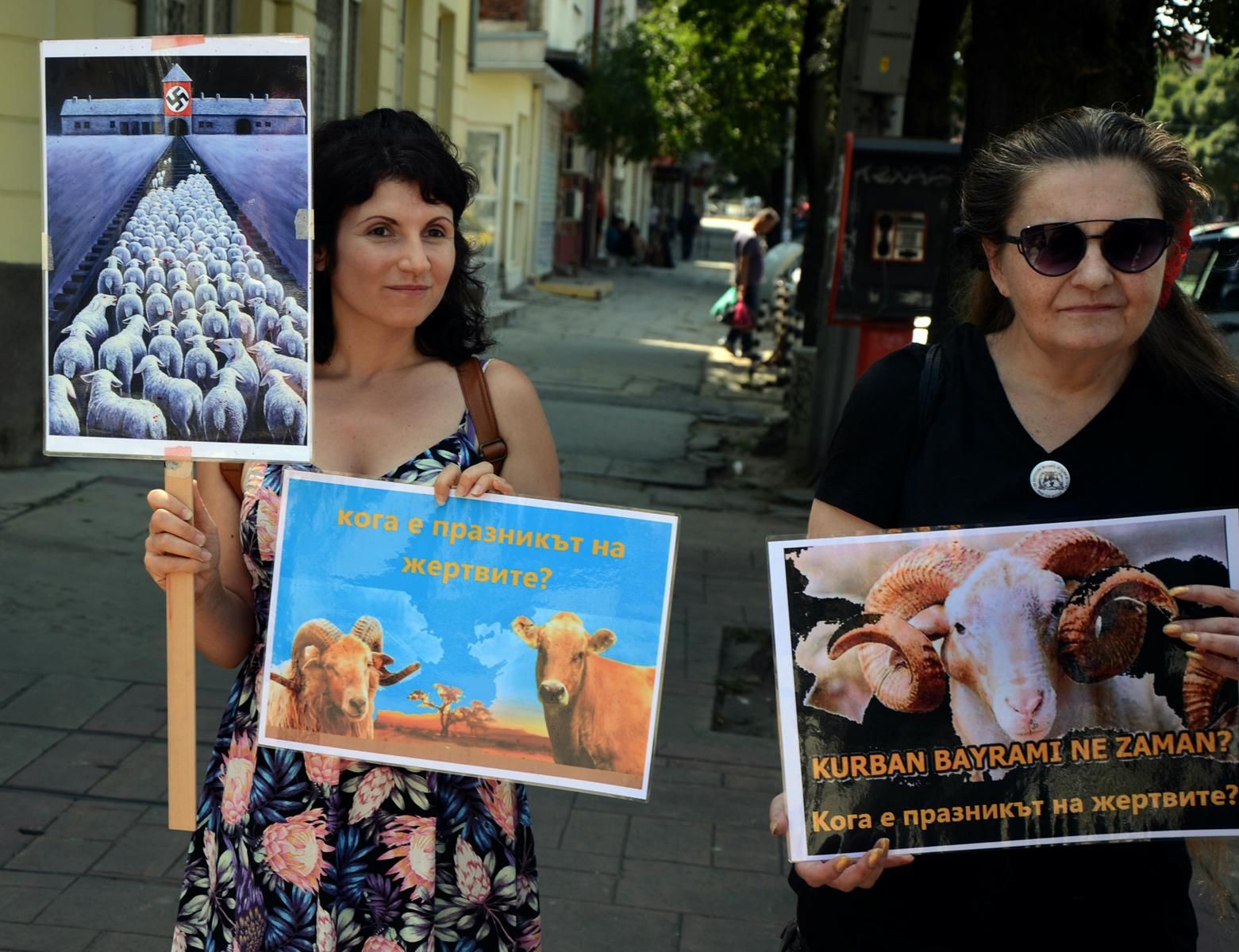Протест на вегани срещу коленето на животни