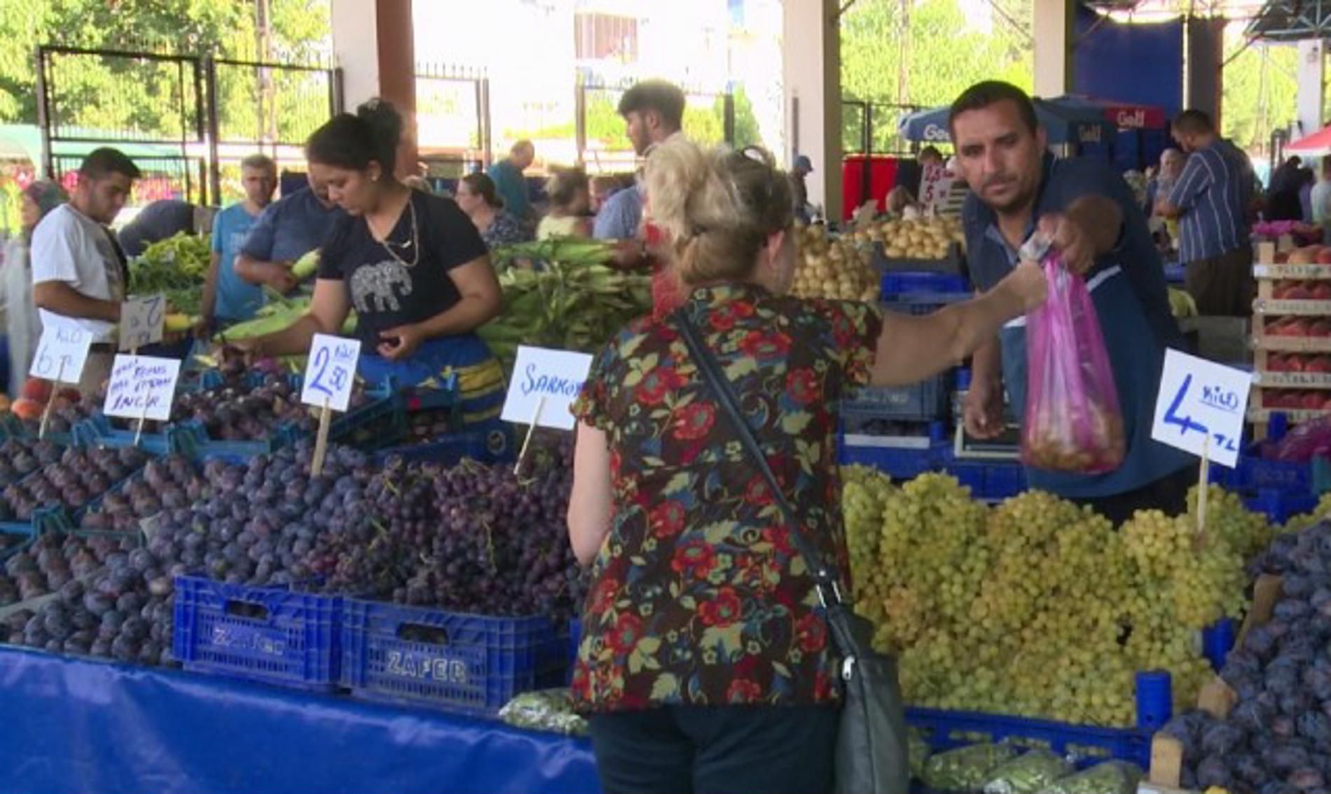 Българи купуват грозде за стотинки в Одрин