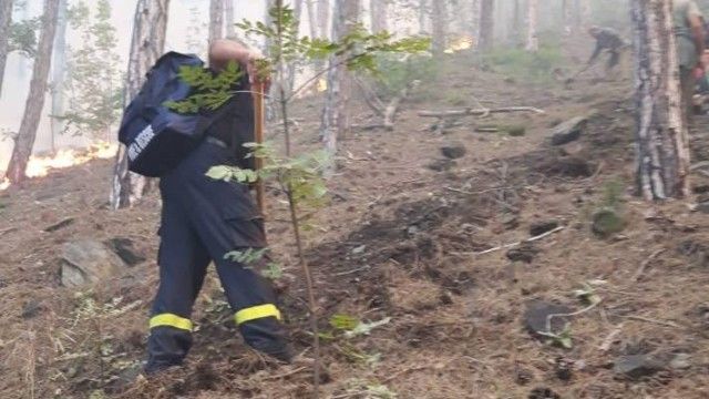Лесничеи, които участваха в гасенето на пожара край Карлово, смятат, че най-вероятната причина за огъня е умишлен палеж
