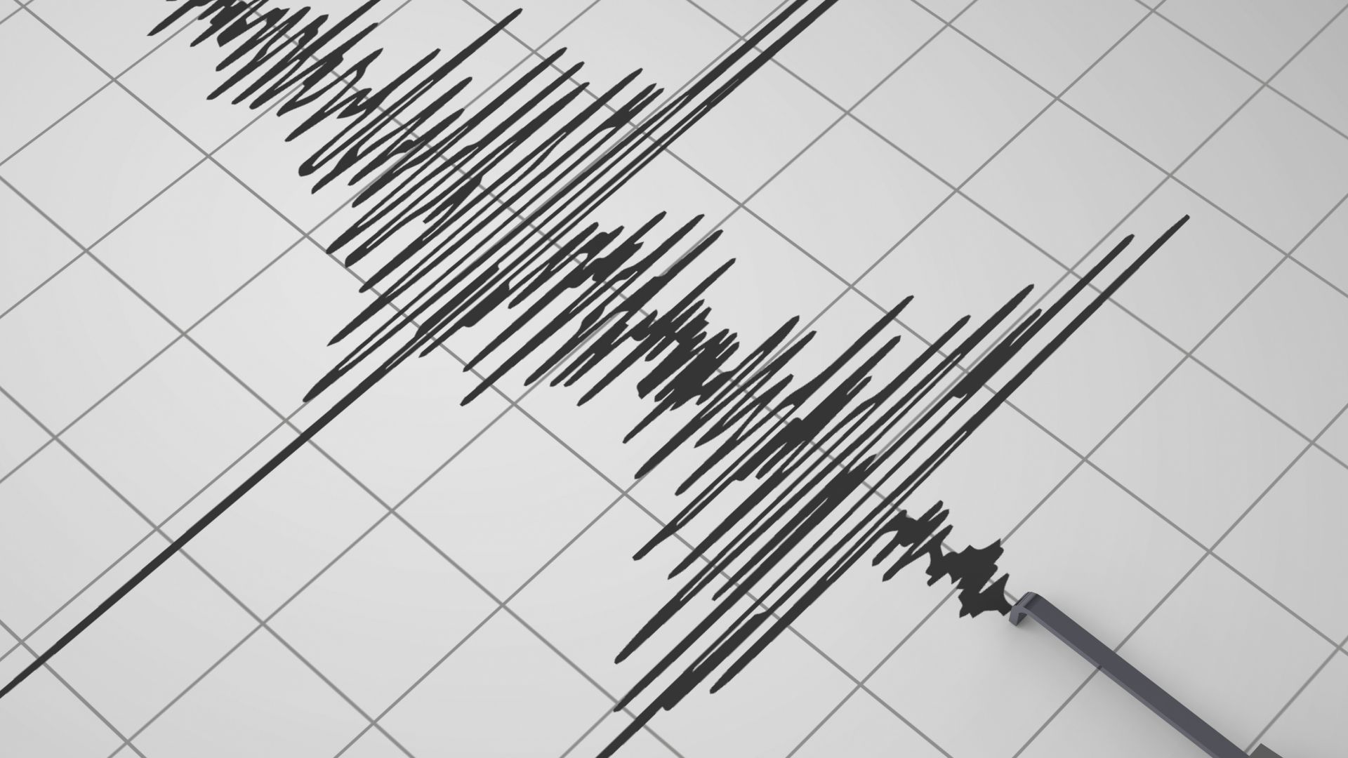 Земетресение с магнитуд около 4 9 по Рихтер е регистрирано тази