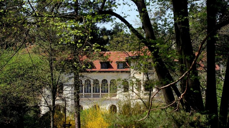 Задържаха за 72 часа 27-годишен мъж, направил опит да изнасили