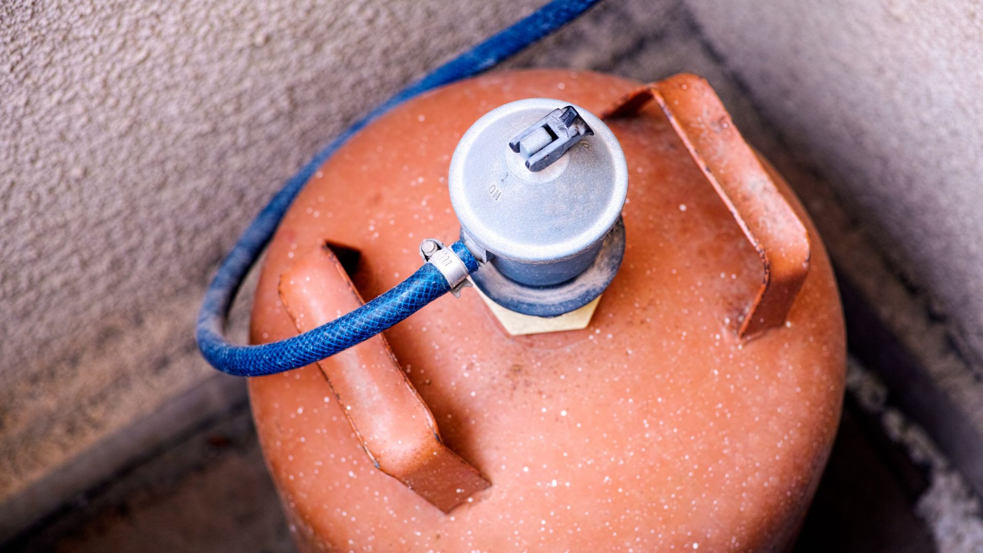 С настъпването на летния сезон има драстичен ръст на броя