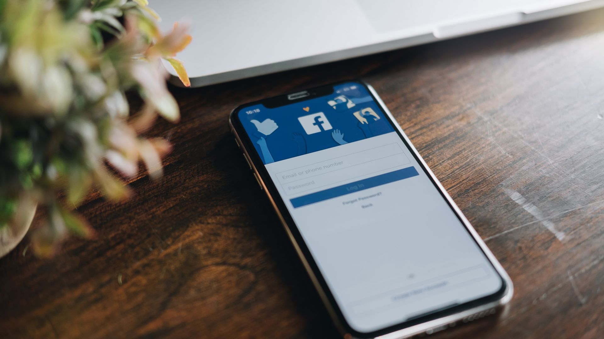 Фейсбук с мерки срещу потребители, споделящи дезинформация