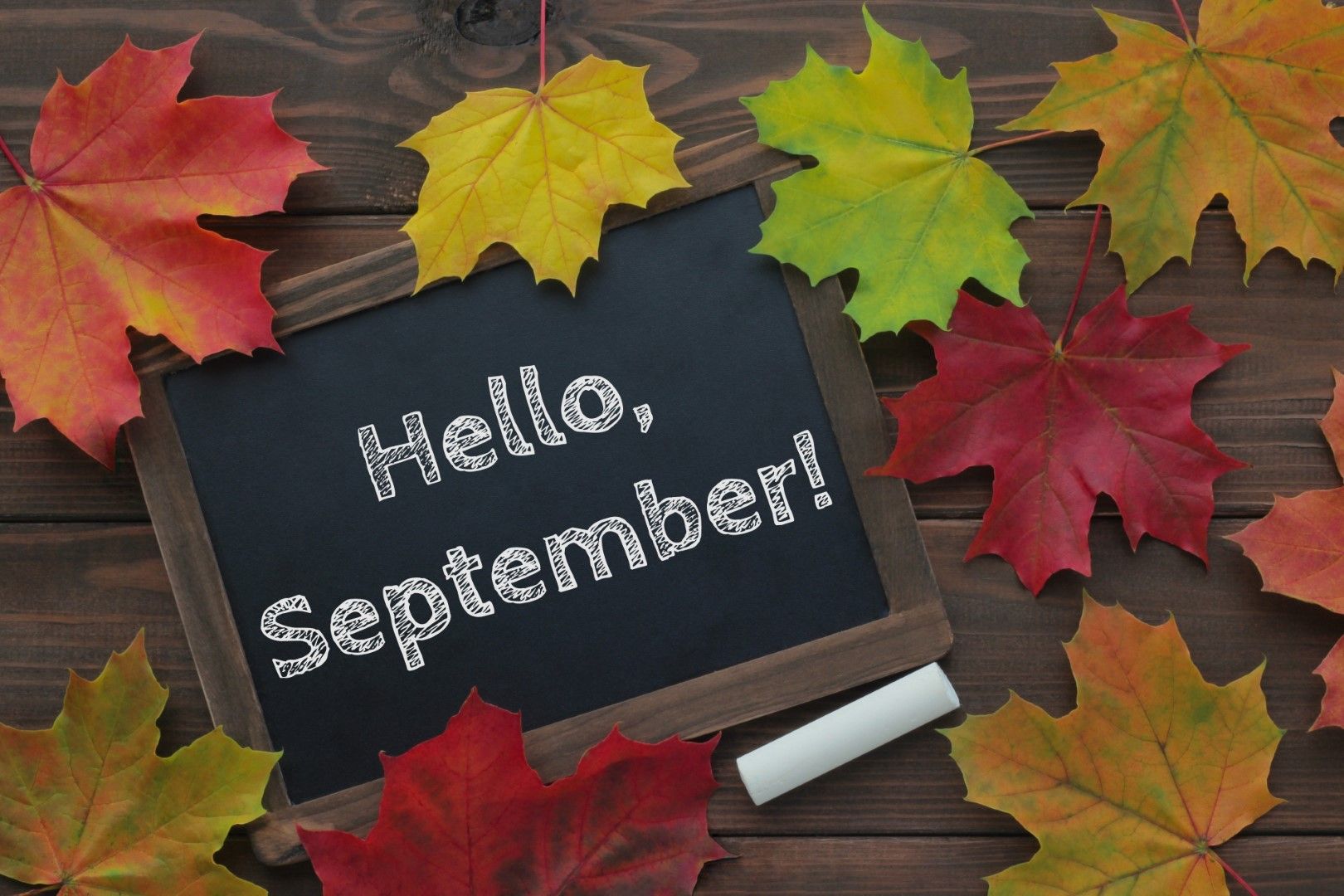 Септември - месецът на първия учебен ден, гроздето и плодовете на лятото