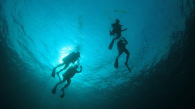 Светът може би е на крачка от разбулването на 75 годишната