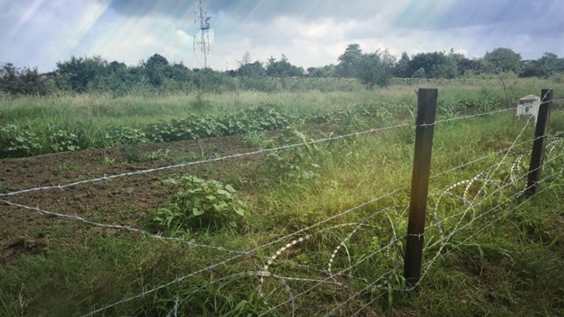 Българското министерство на земеделието е в контакт с румънските компетентни