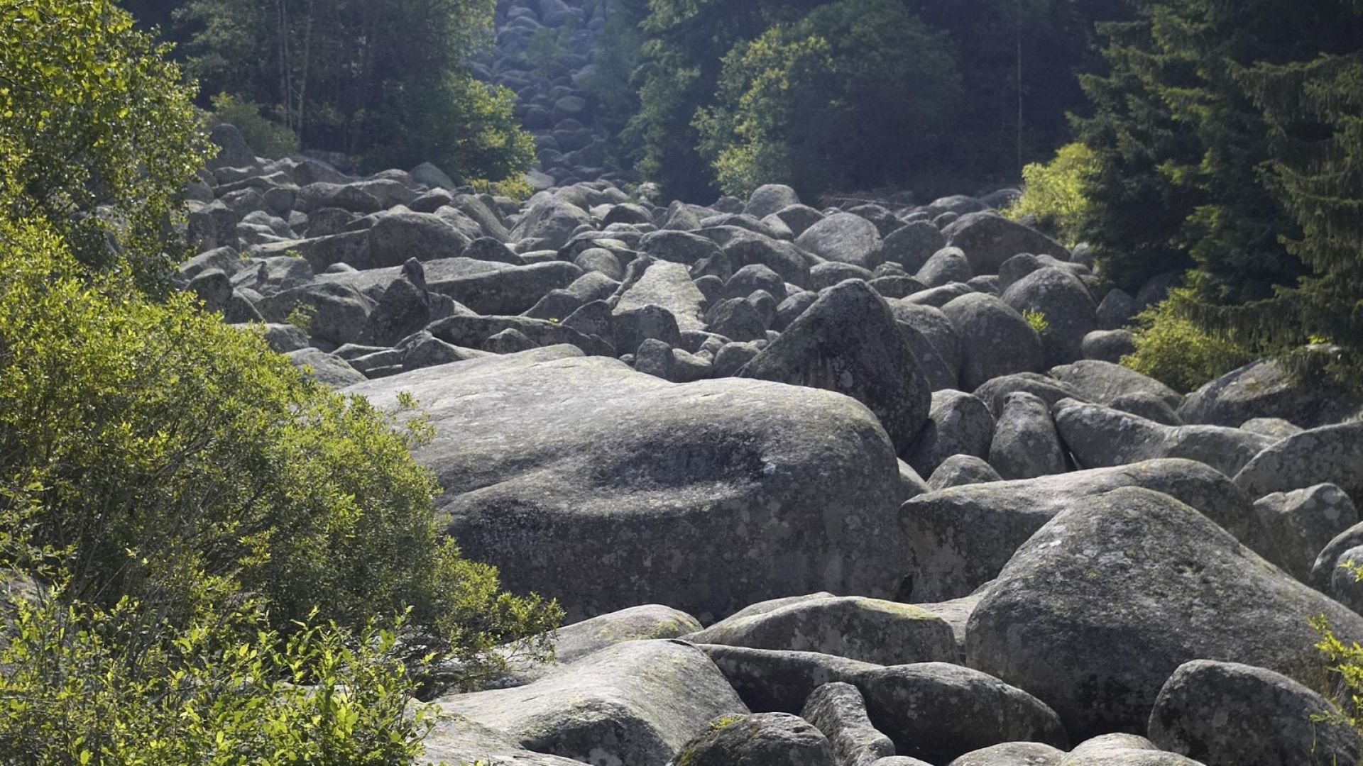 Транспортната комисия на Столичния общински съвет реши експериментално да промени