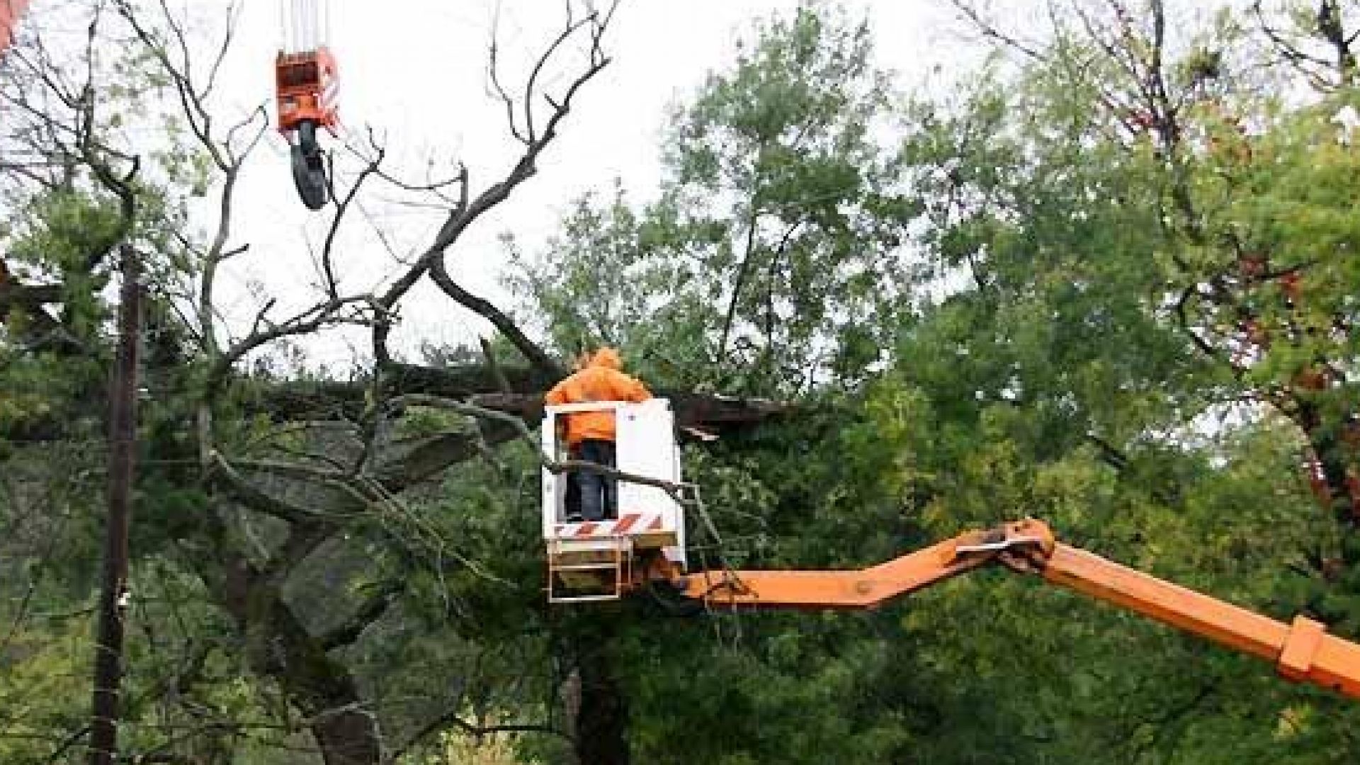 След завършилото през пролетта почистване на пилотен участък Зона 1