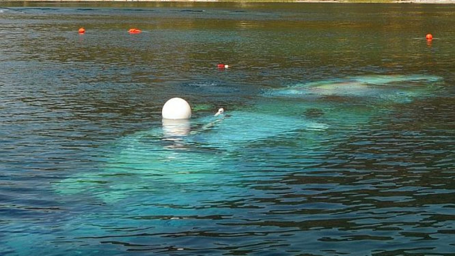 Днес се навършват 9 години от потъването на кораба Илинден