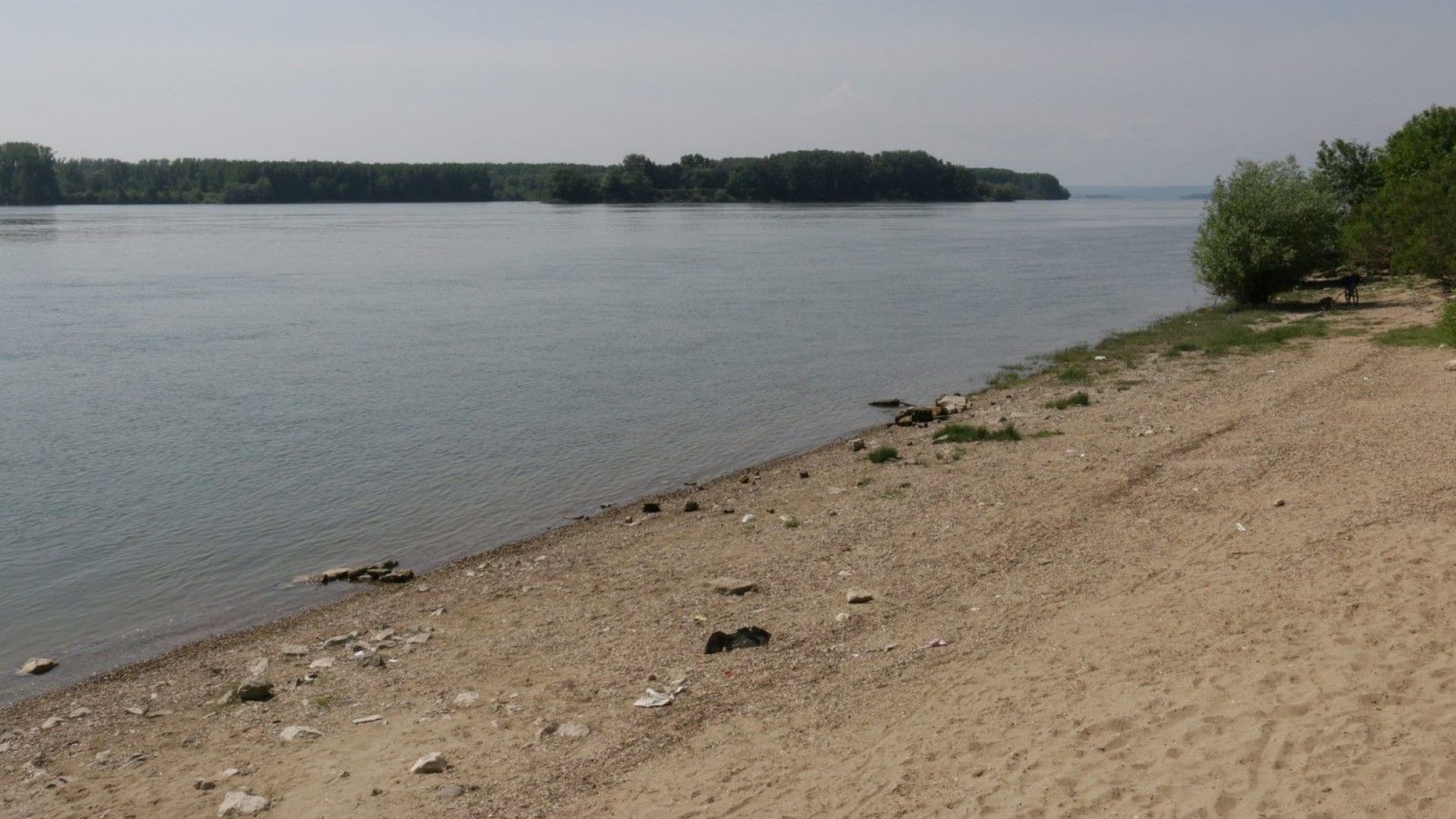 Петима нелегални мигранти са заловени при опит да преминат река