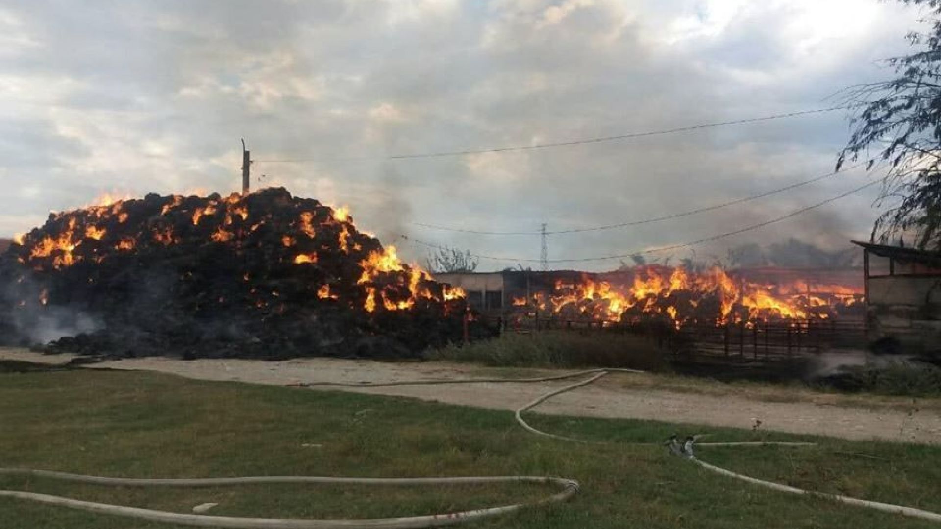 Огромен пожар е избухнал в Пазарджик Гори бившето Държавно земеделско