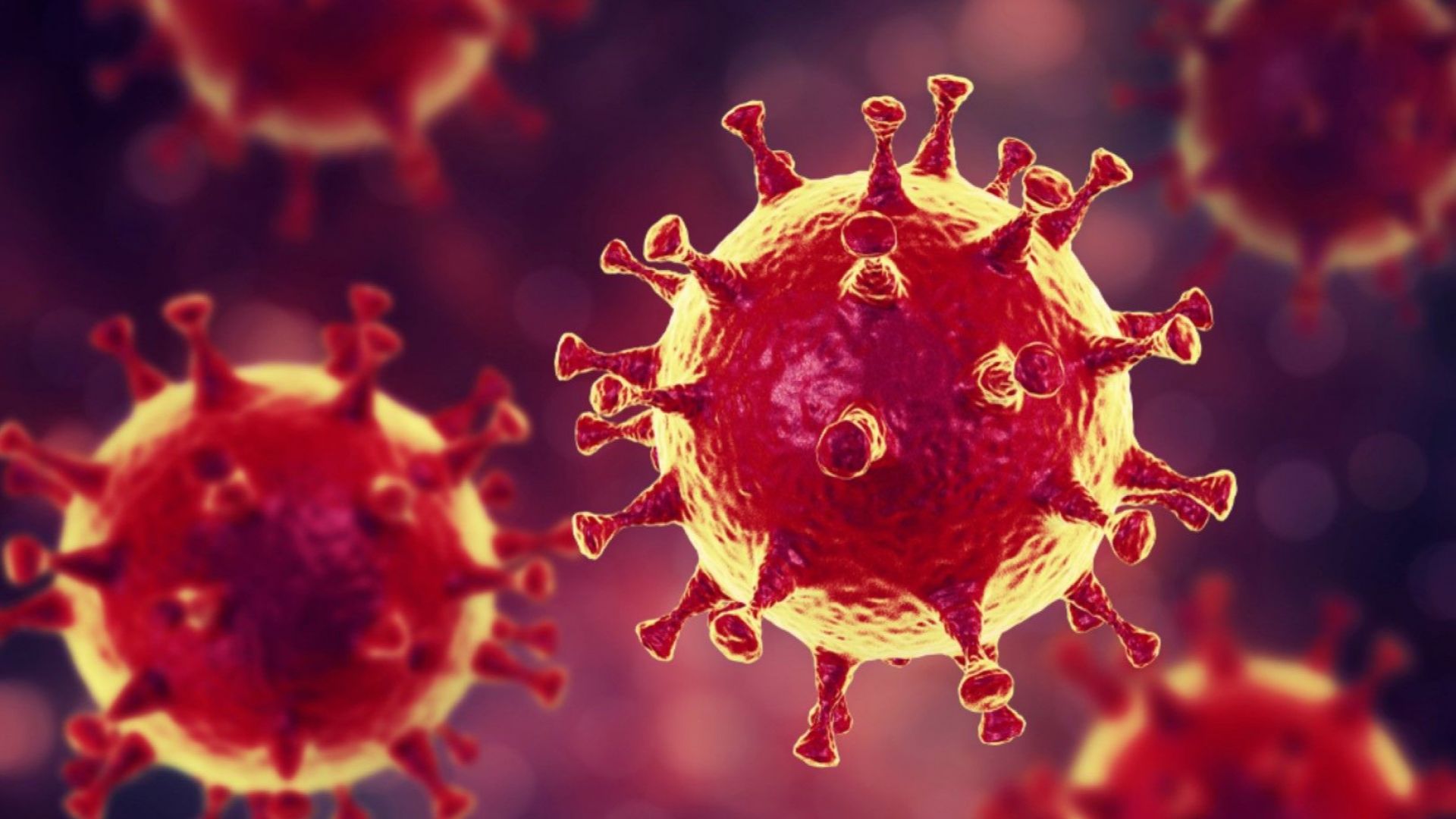 На 8 септември т г в Сеул бе диагностициран първият случай