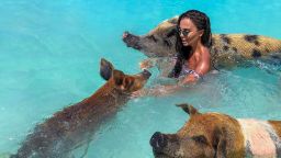Николета плува с прасета на Бахамите (снимки)