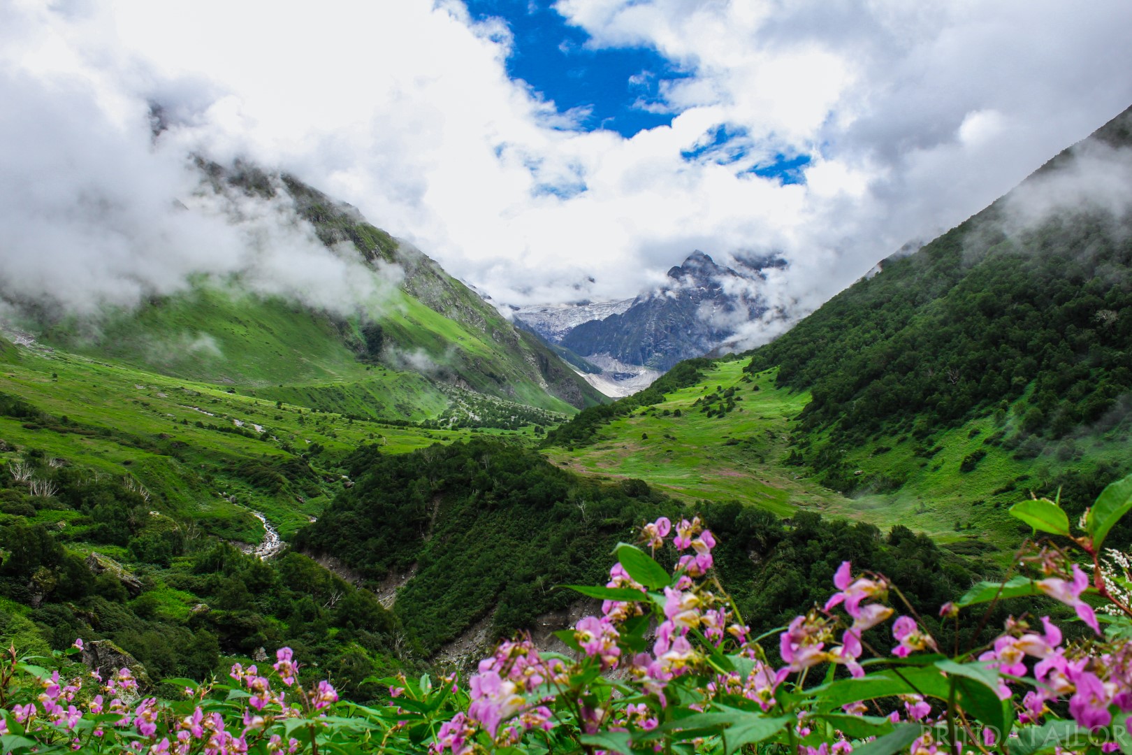 Долината на цветята - потресаваща красота в Хималаите