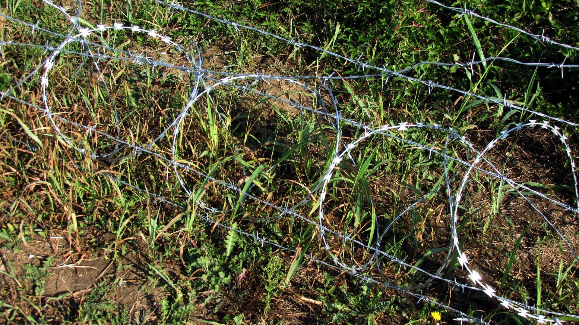 С помощта на полицията специалисти от Българската агенция по безопасност