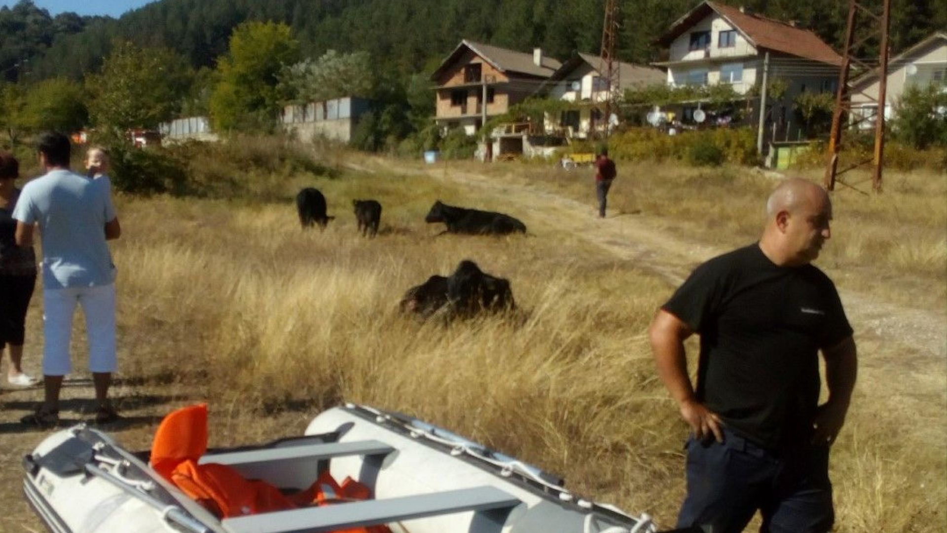 Пожарникари спасиха стадо животни от водоем