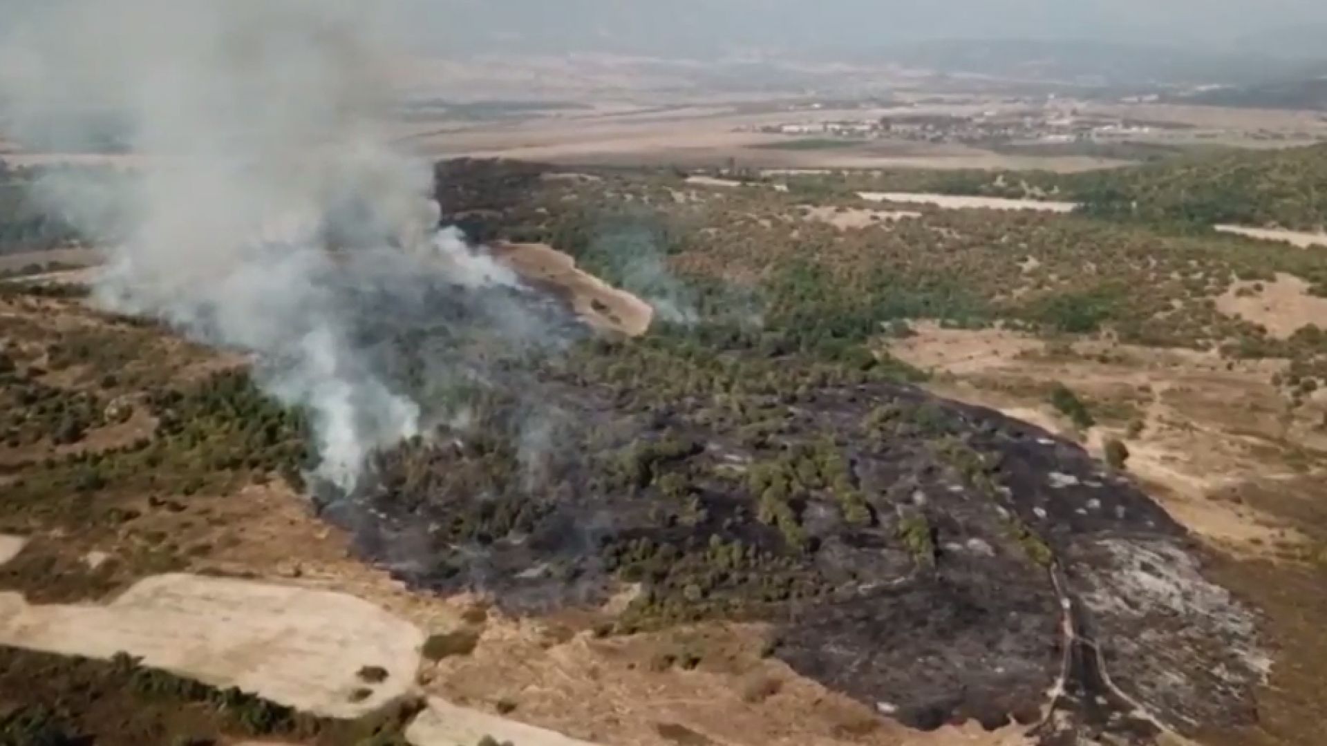 Пожар обхвана 500 дка гори и лози край град Баня 
