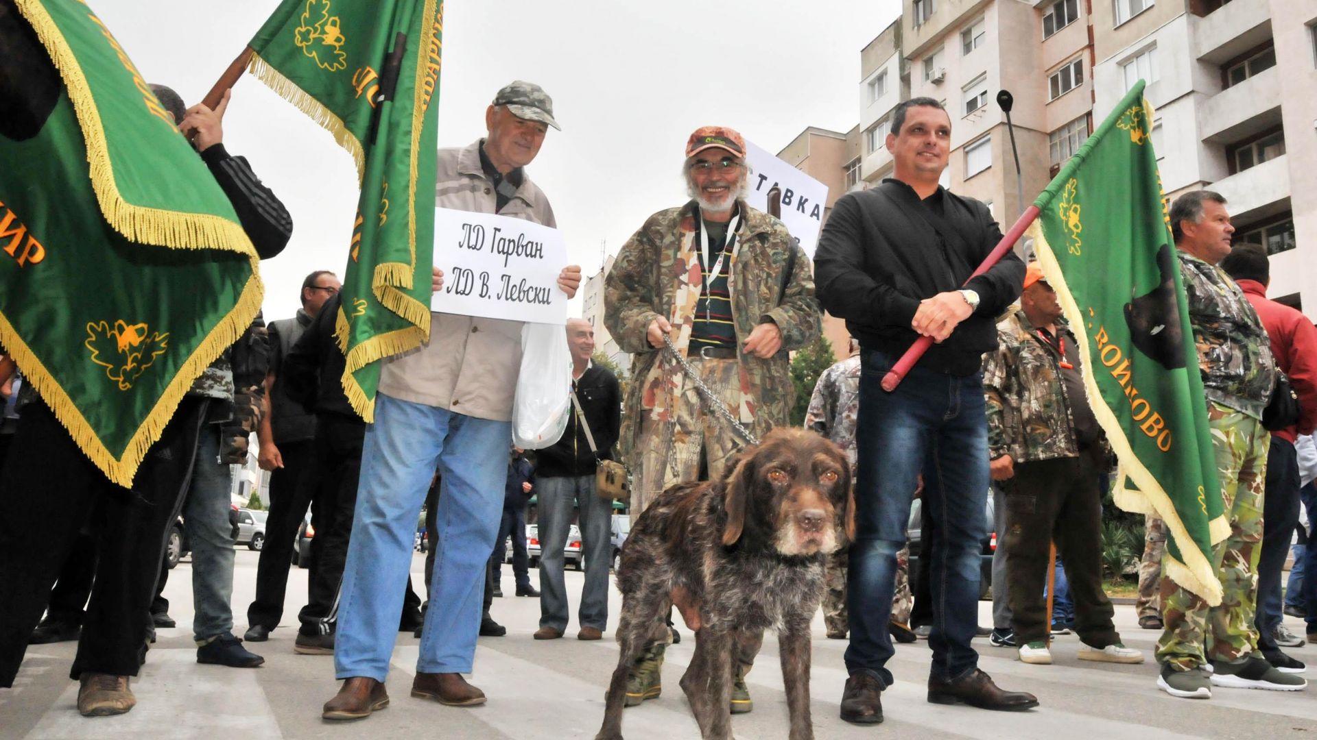 Ловци блокираха Дунав мост заради забраната за групов лов на глигани
