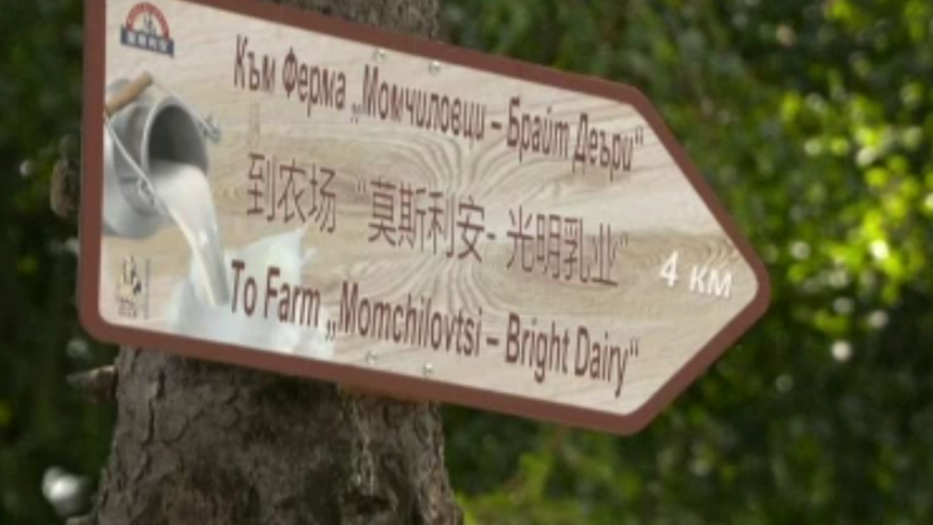 От няколко години насам едно малко родопско село привлича китайските