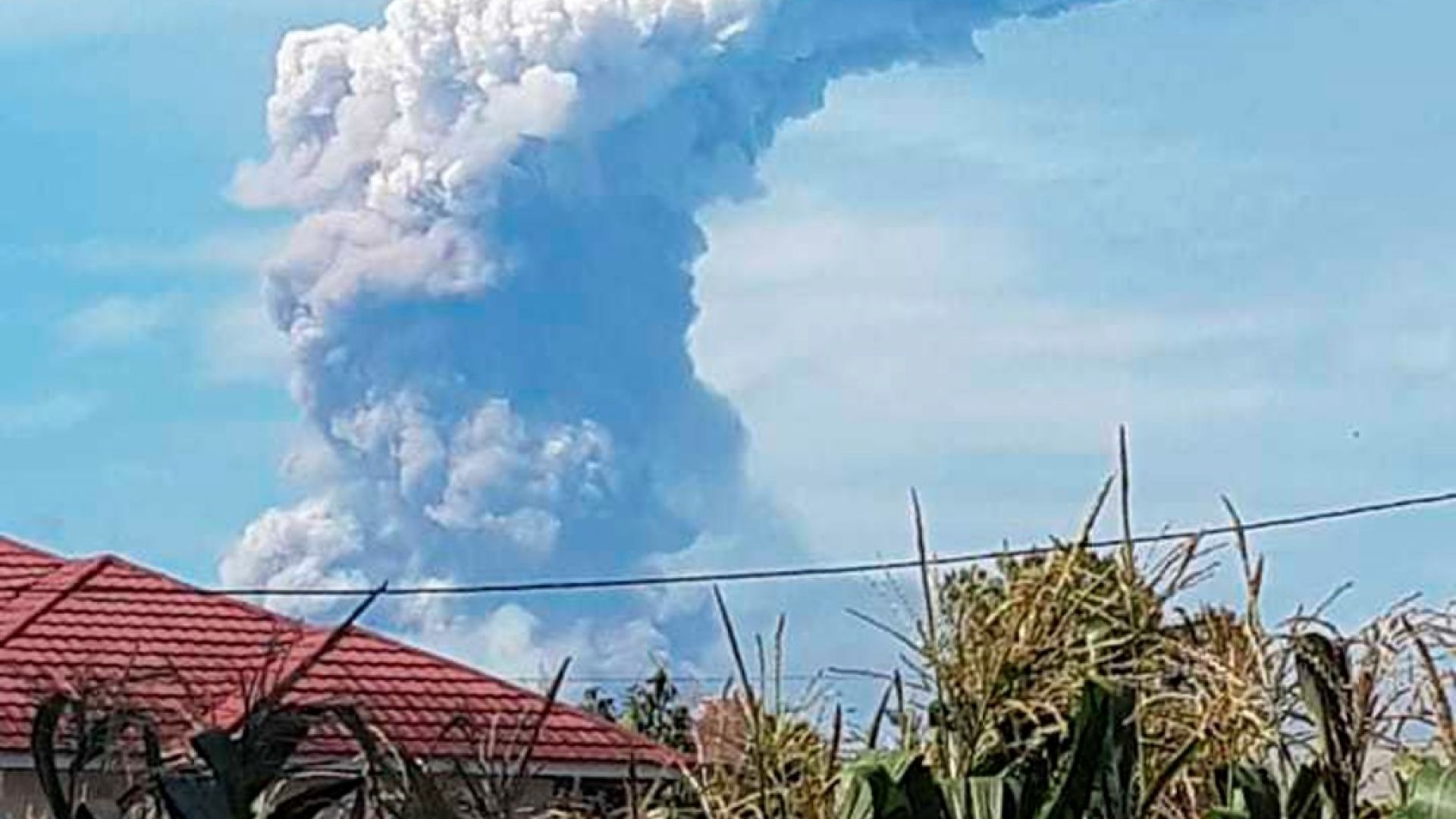 Виж още След труса в Индонезия Гладни хора нахлуват в