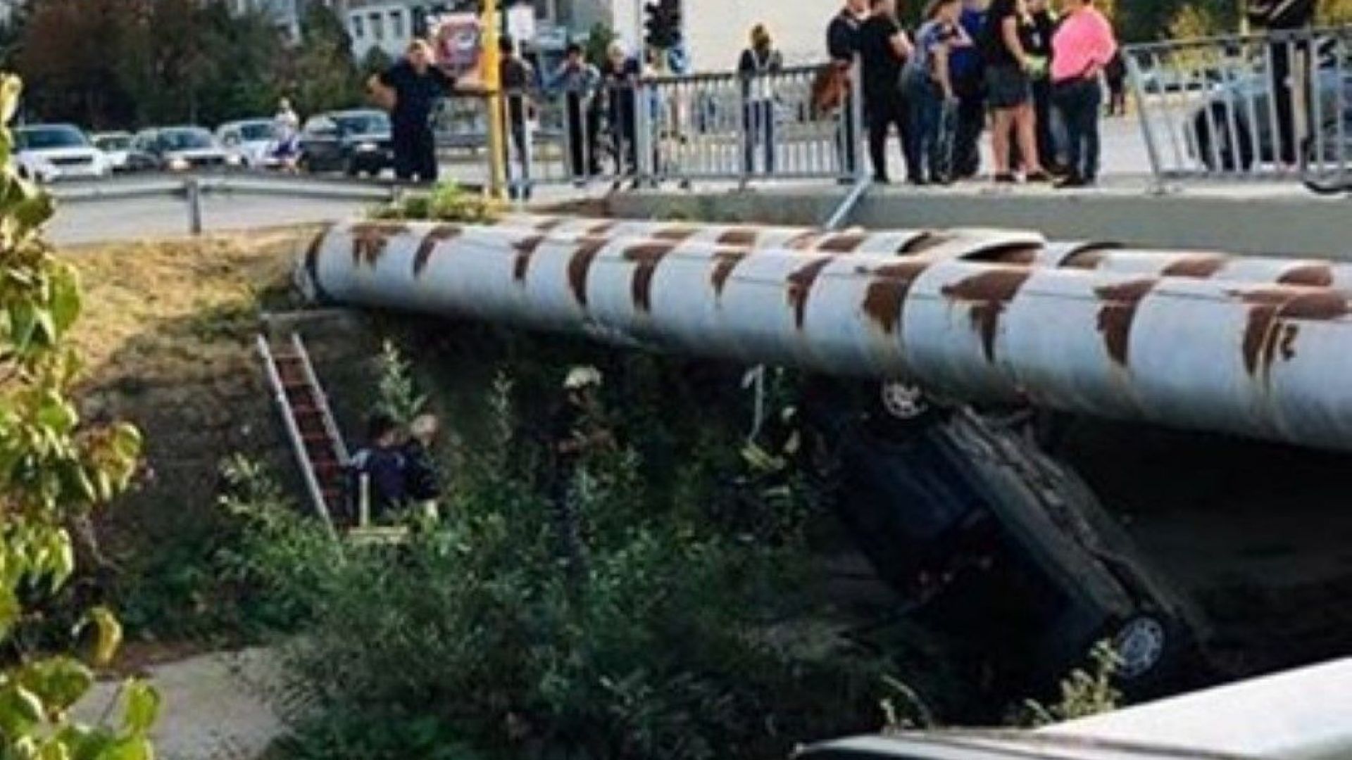 Кола падна в Перловската река в София Автомобилът е изкъртил